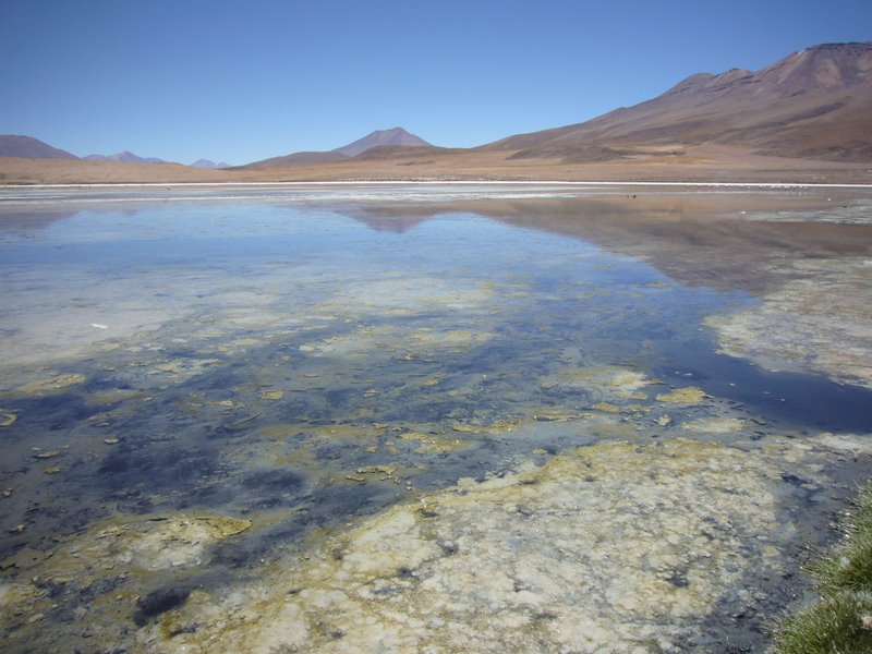 Laguna 1